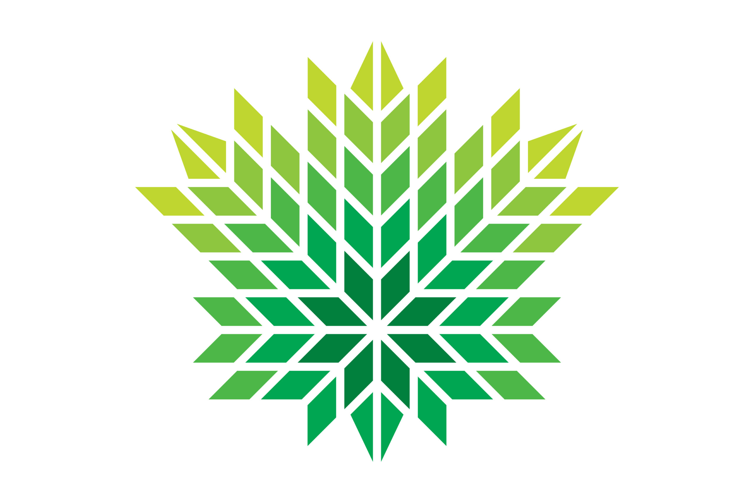 Afra Charity NGO Leaf Green Studio_Abbasi Majid_Abbasi Graphic_Design Branding Visual_Identity